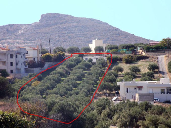 Elia village Crete